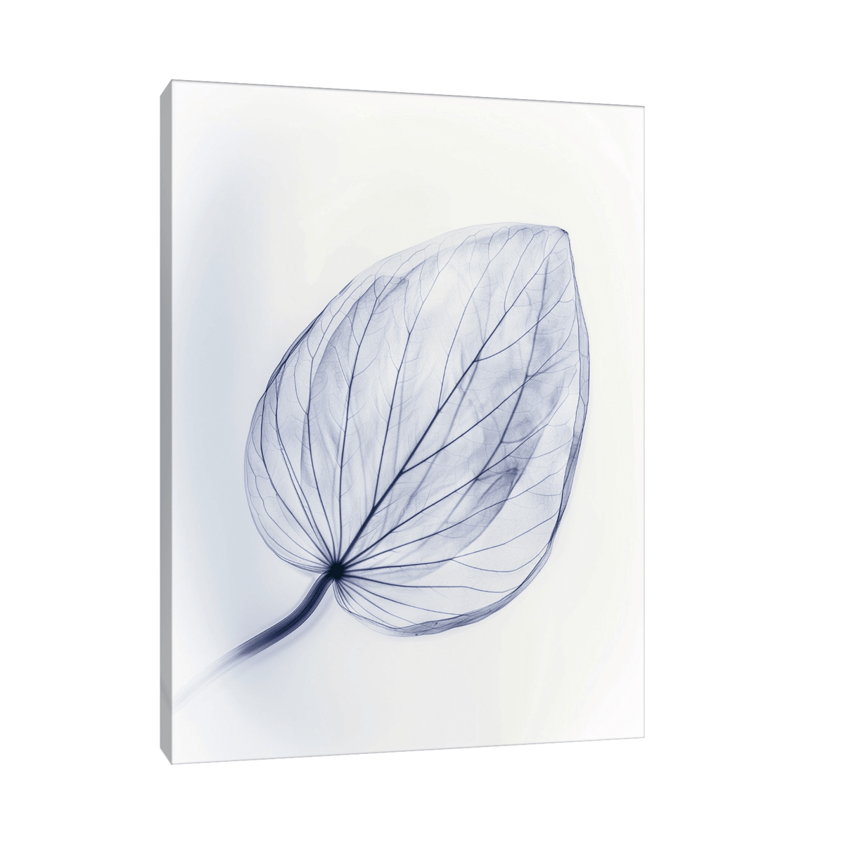 Leaf X-Ray ll - ArtDeco Canvas