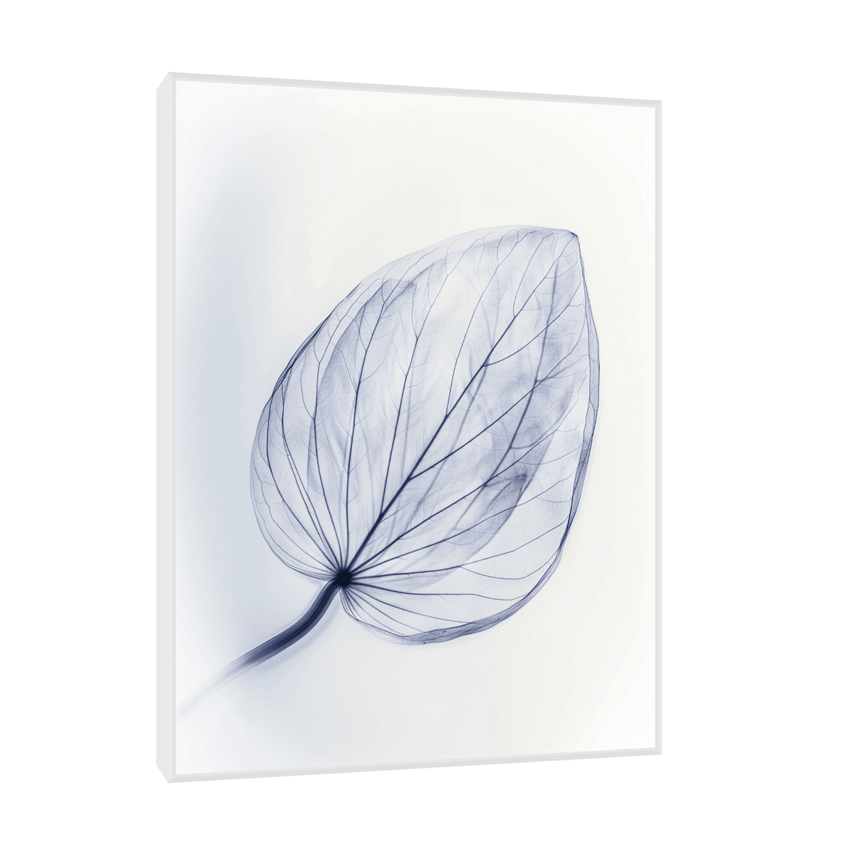 Leaf X-Ray ll - ArtDeco Canvas