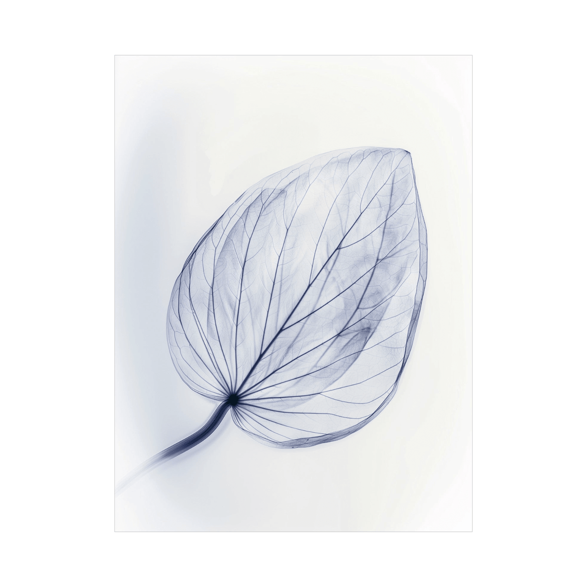 Leaf X-Ray ll - ArtDeco Canvas