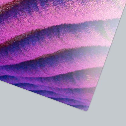 Additional product image.