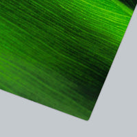 Basic abstract brush strokes in green and black - ArtDeco Canvas