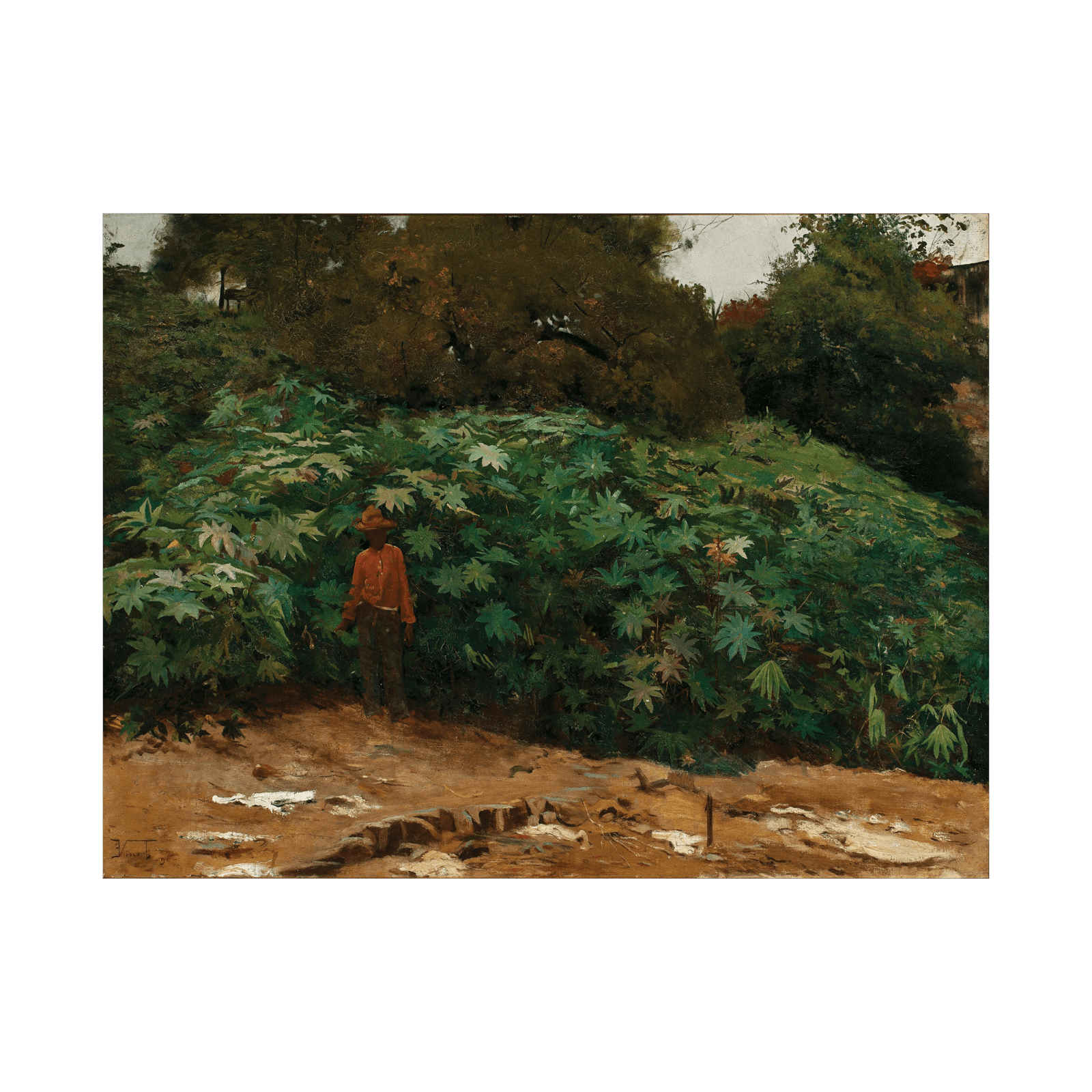 Mamoneiras – Morro de São Bento, Eliseu Visconti - ArtDeco Canvas