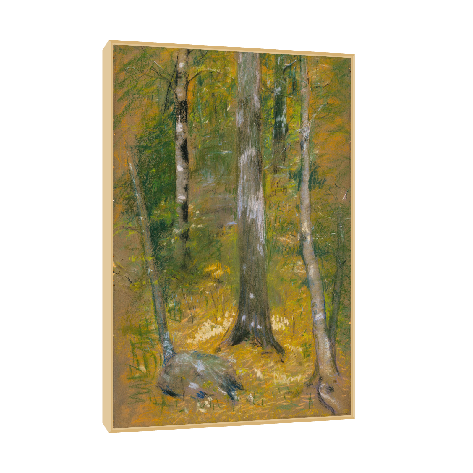 File created by SMART App.