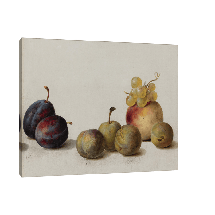 Plums, Peach And Grapes, Helen Searle - ArtDeco Canvas