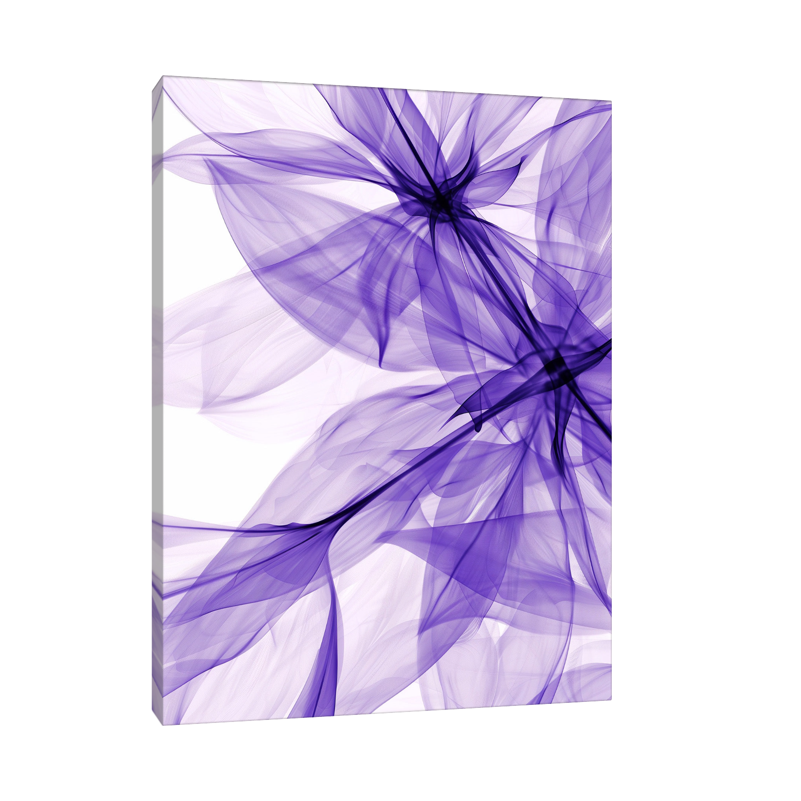 Purple silky flowers