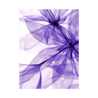 Purple silky flowers