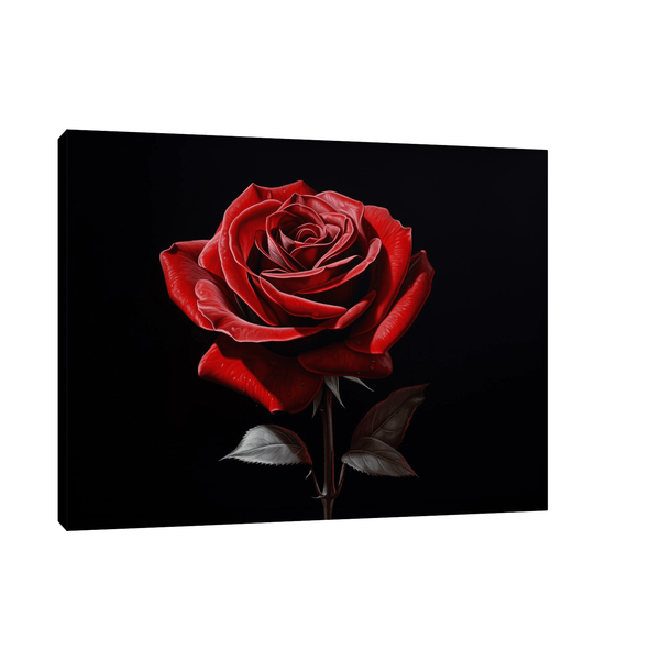 Red rose on dark background - ArtDeco Canvas