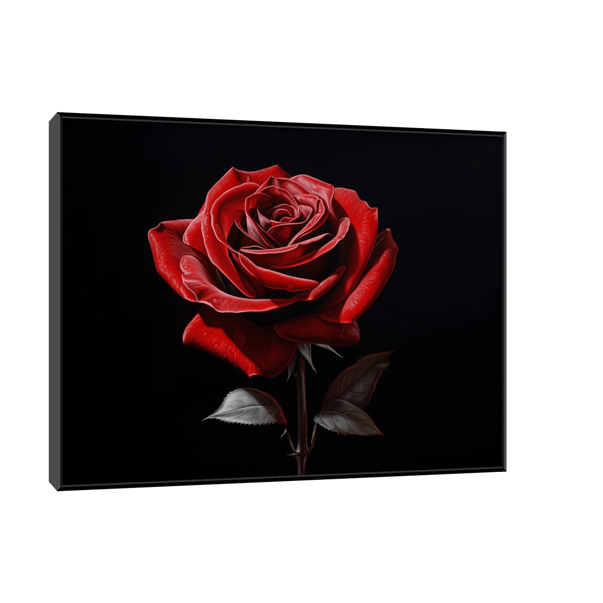 Red rose on dark background - ArtDeco Canvas