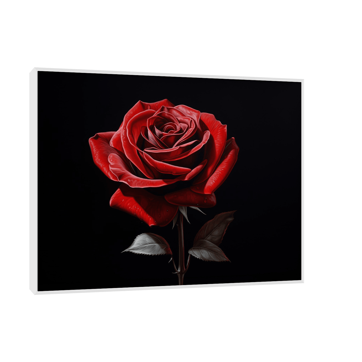 Red rose on dark background - ArtDeco Canvas