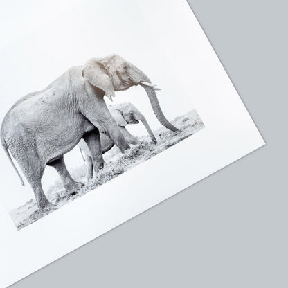 The Card Players, Paul Cézanne - ArtDeco Canvas