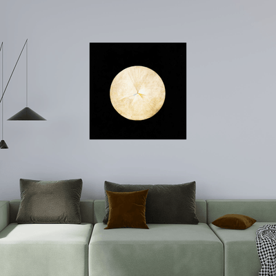 Series SUW, Hilma af Klint