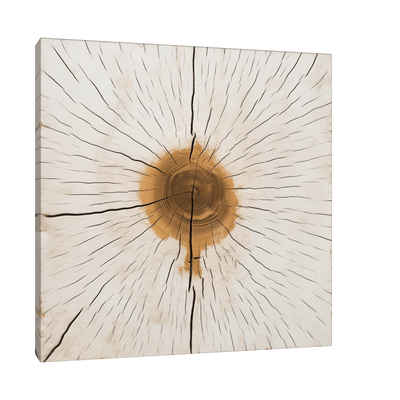 Split log ll - ArtDeco Canvas