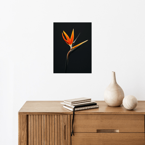 Strelitzia flower II - ArtDeco Canvas