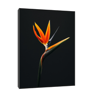 Strelitzia flower II - ArtDeco Canvas