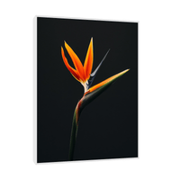 Strelitzia flower II - ArtDeco Canvas