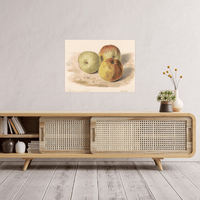 Study of Three Apples, James Sillett - ArtDeco Canvas