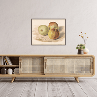 Study of Three Apples, James Sillett - ArtDeco Canvas