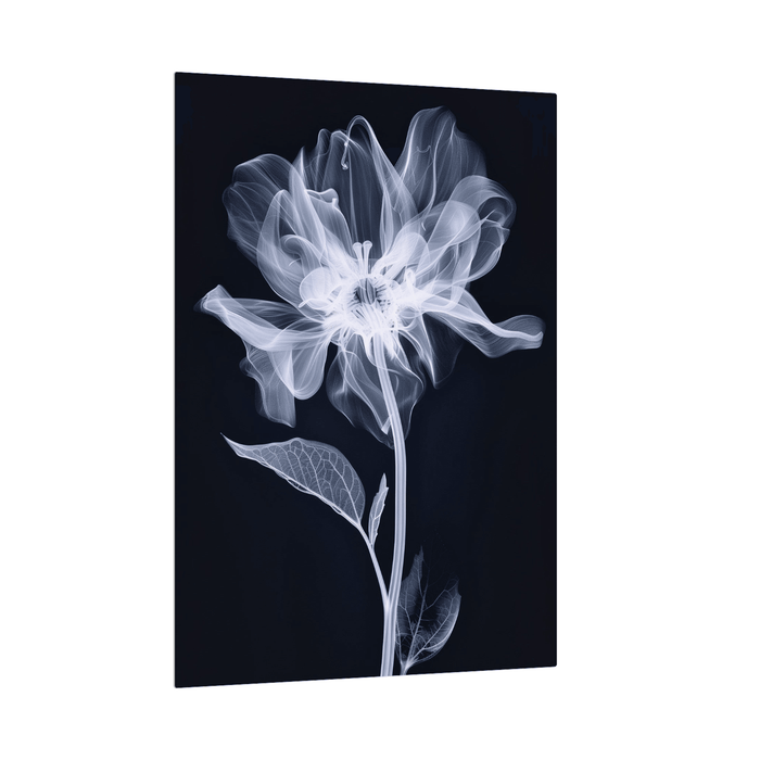 The flower X-ray - ArtDeco Canvas