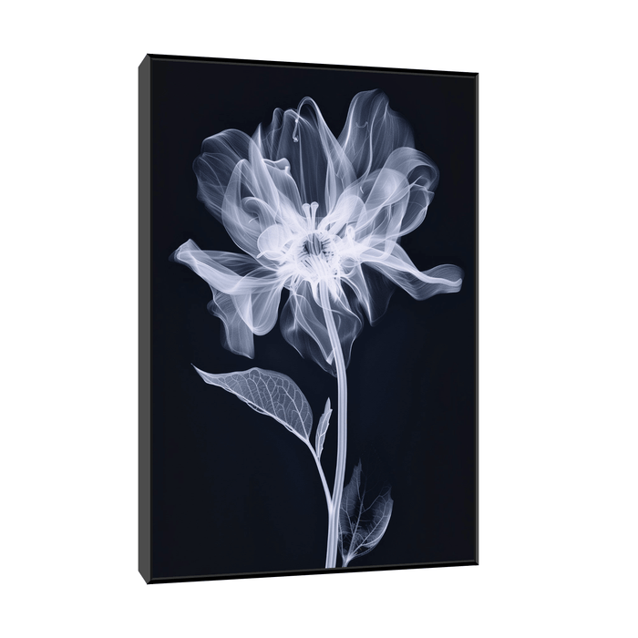 The flower X-ray - ArtDeco Canvas