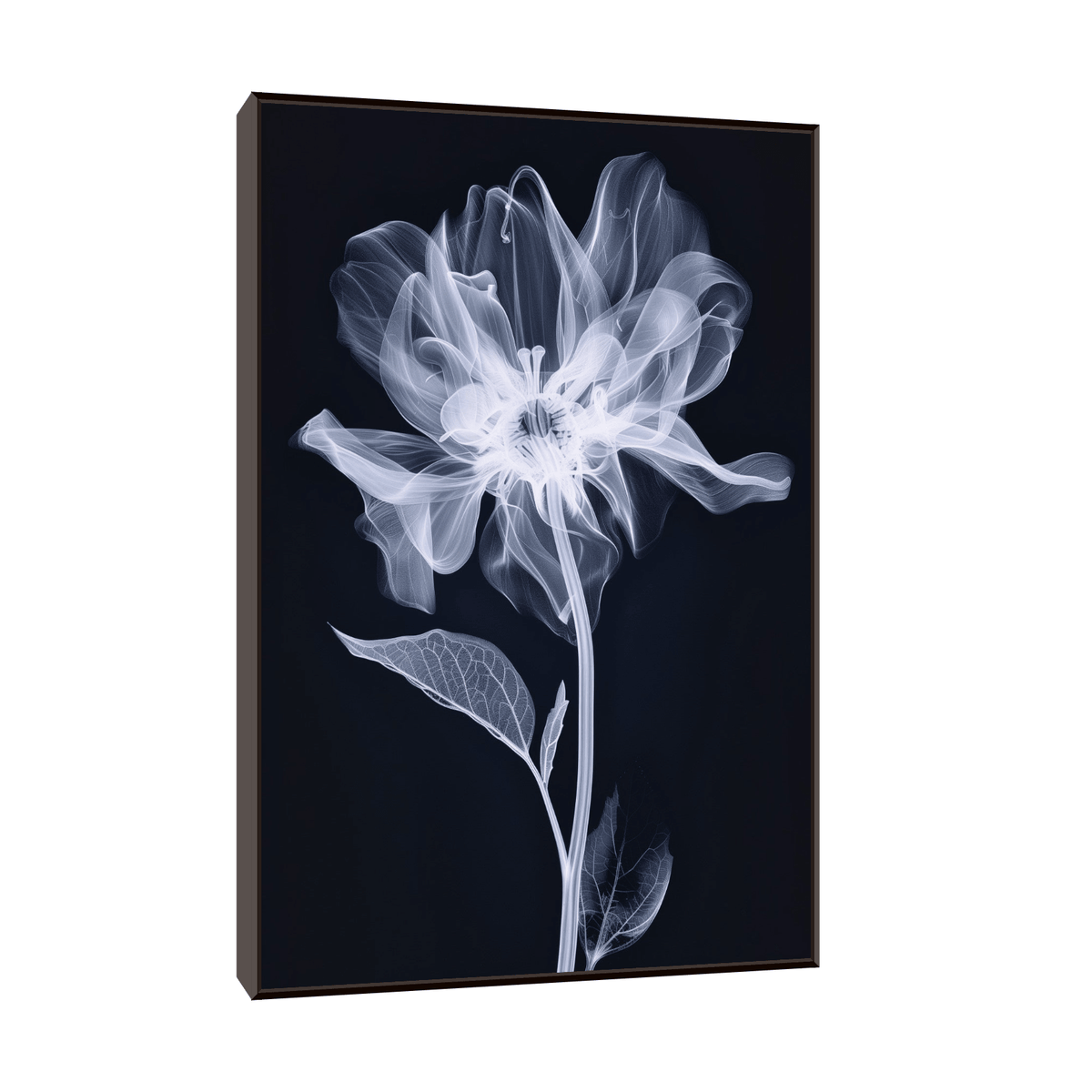 The flower X-ray - ArtDeco Canvas