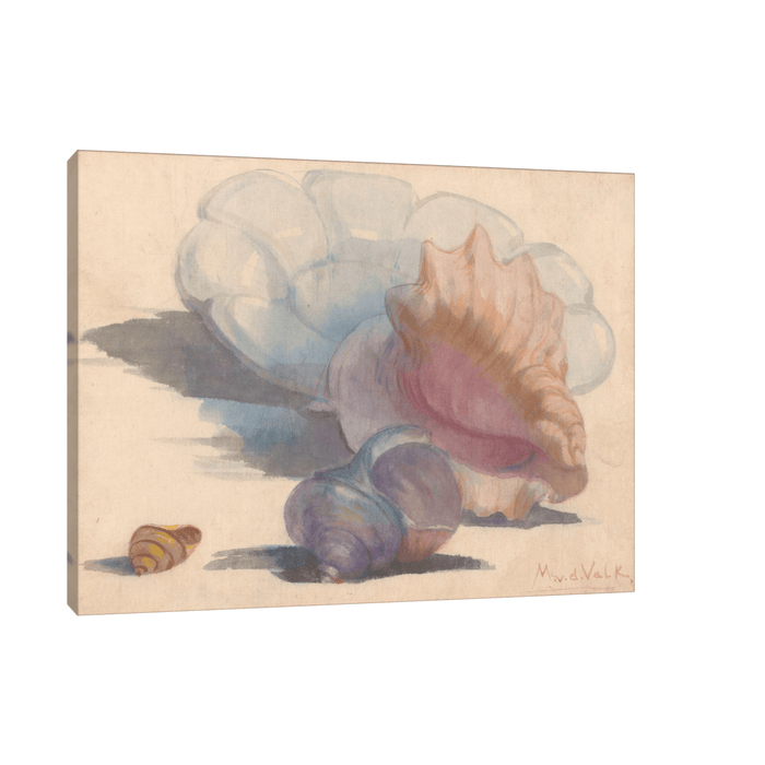 Three shells with a Delft folding dish, Maurits van der Valk - ArtDeco Canvas