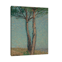 Un pin, Henri Martin - ArtDeco Canvas