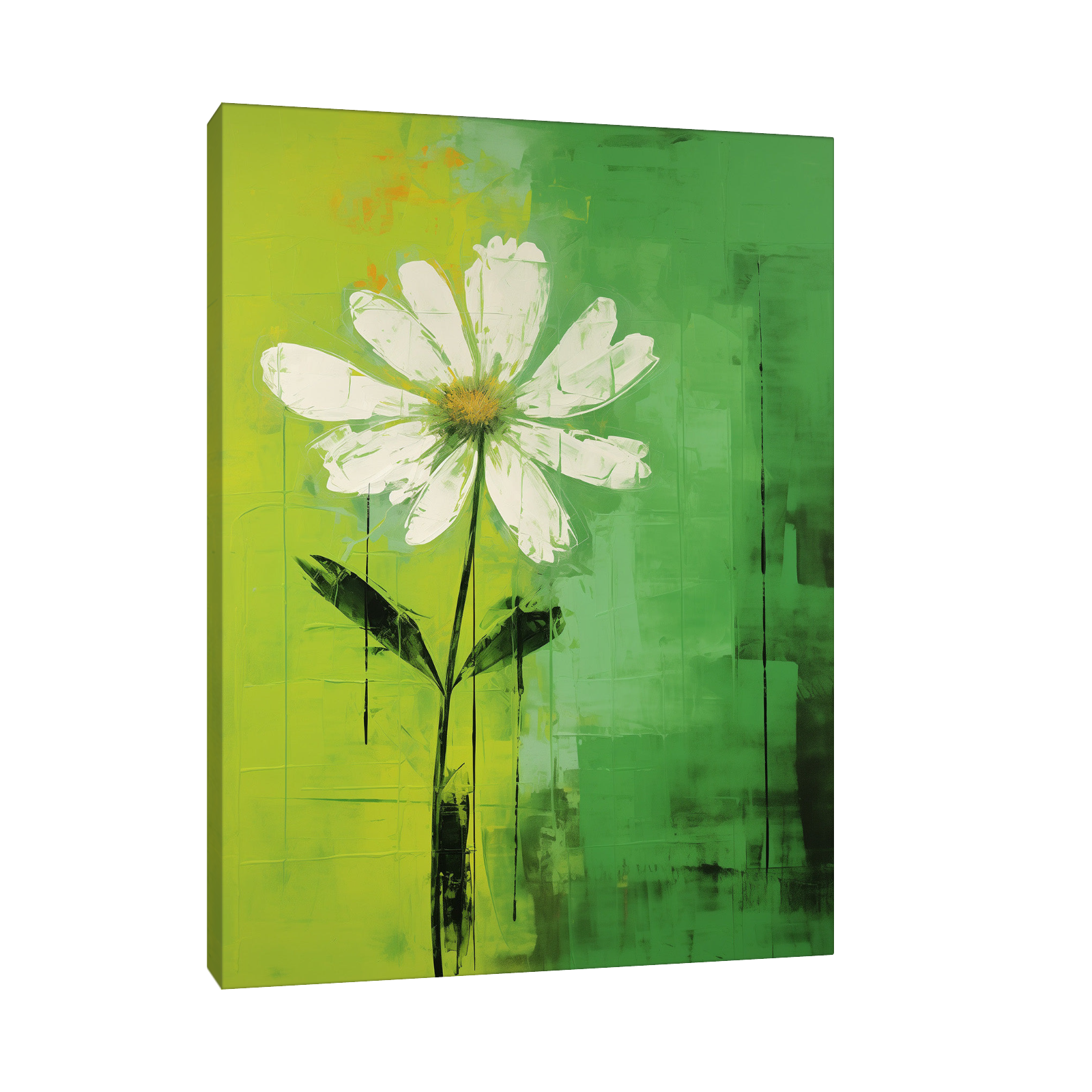 White daisy on green background