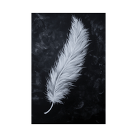 White feather ll - ArtDeco Canvas