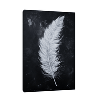 White feather on black - ArtDeco Canvas