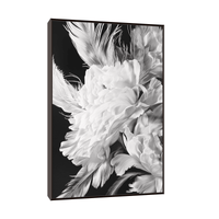 White flower closeup - ArtDeco Canvas