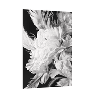 White flower closeup - ArtDeco Canvas