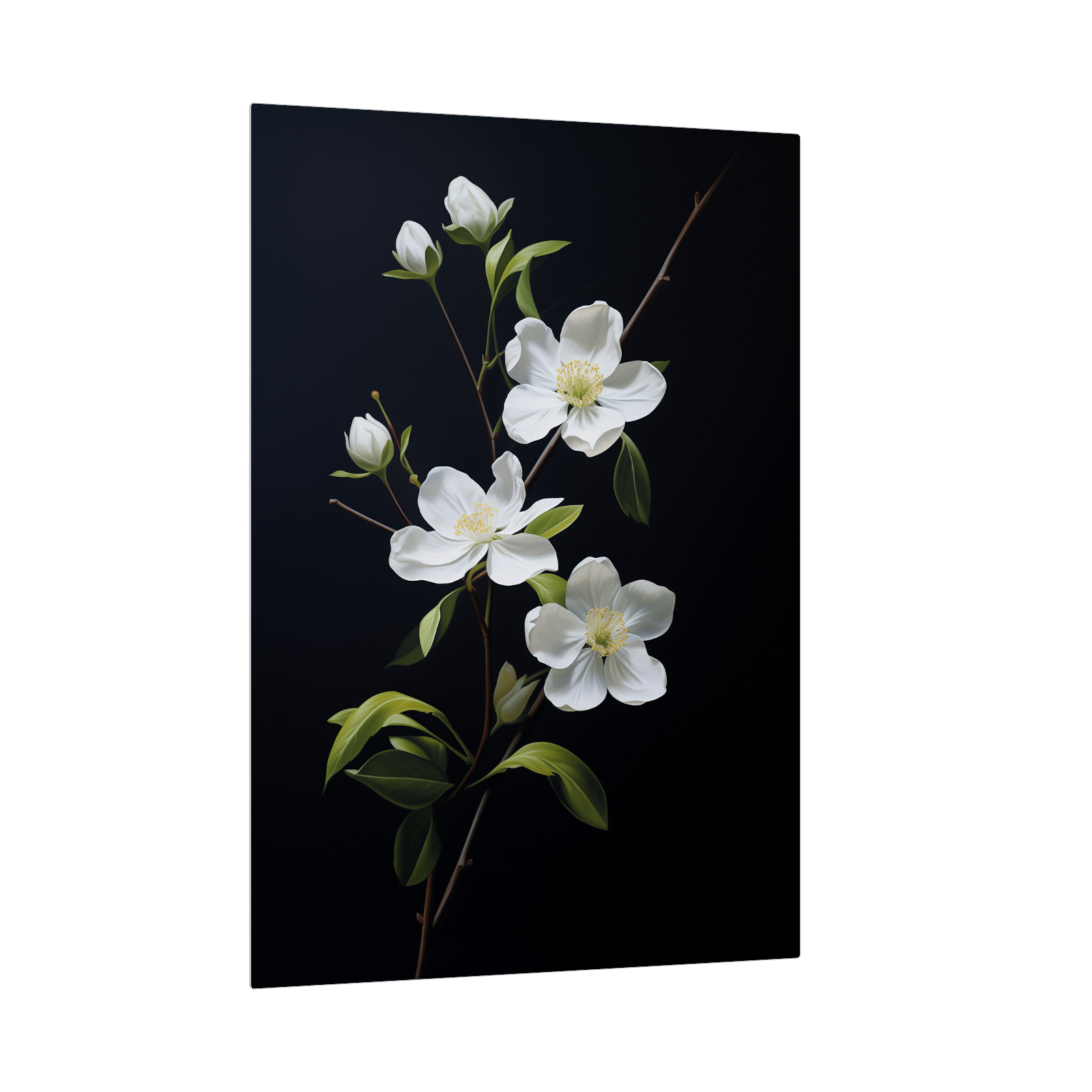 White flowers on black II
