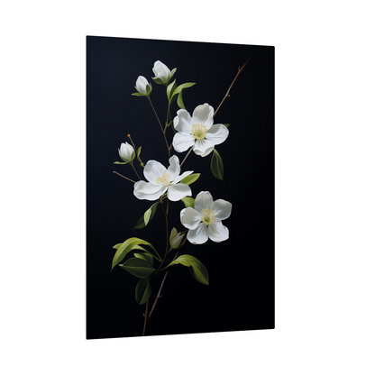 White flowers on black II