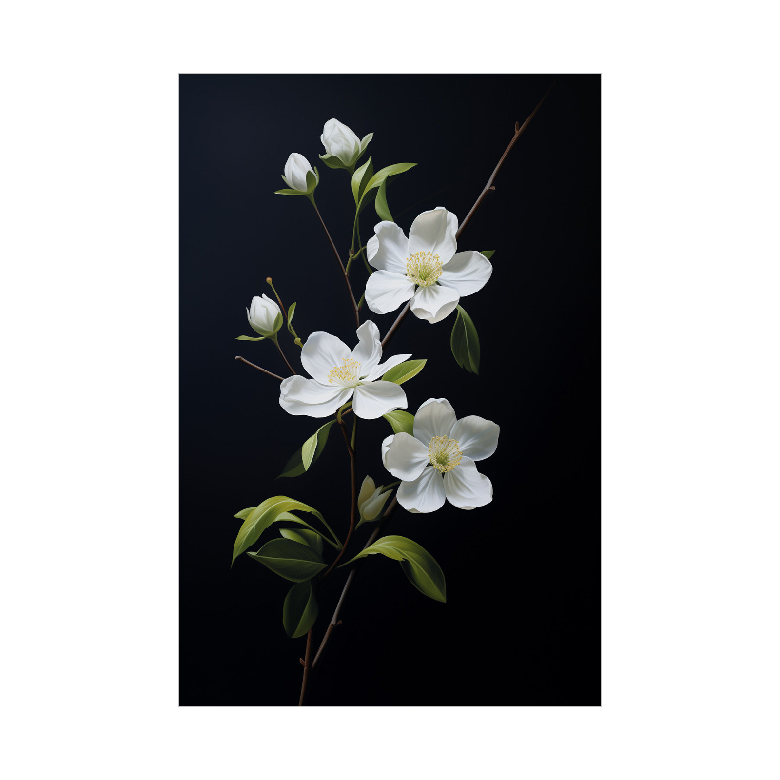 White flowers on black II